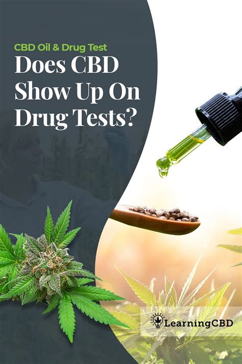 cbd drops to pass drug test|does cbd cause drug testing.